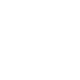 x icon